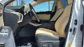 2021 Lexus NX 300h
