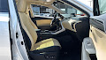 2021 Lexus NX 300h